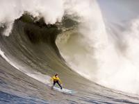 开云平台-费城奇迹夜，霍勒迪导演惊天逆转，76人击碎上海队胜利曙光