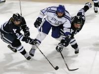 开云足球直播-东北虎啸震南粤，英格拉姆展翅定乾坤—吉林队团队篮球轻取深圳，新外援惊艳四座