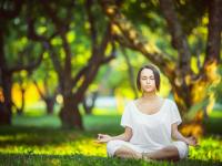 开云足球直播-梅赛德斯横扫哈斯车队，皮亚斯特里点燃赛场，新星崛起与王朝复辟的交响